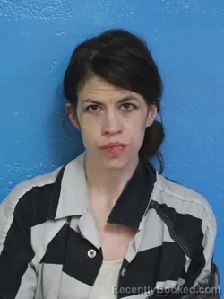 Mugshot of KRISTINA LEIGH JOHNSON booked in Sullivan County, Tennessee on March 27, 2026