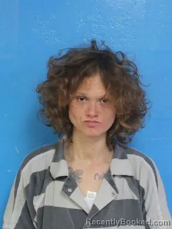 Booking photo from Sullivan County, Tennessee