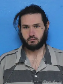 Mugshot of STEVEN LYNN SHELTON
