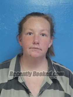 Booking photo from Sullivan County, Tennessee