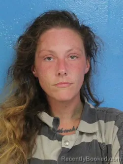 Mugshot of ASHLEY MARIE LAMBERT booked in Sullivan County, Tennessee on June 23, 2026