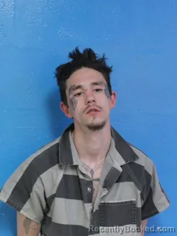 Mugshot of DAKOTA AUSTIN HALE