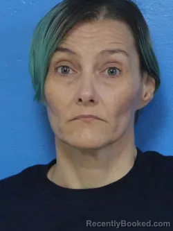 Mugshot of NICOLE PATRICIA BURR booked in Sullivan County, Tennessee on June 25, 2026