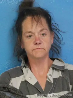 Mugshot of SHERRY JEAN ROWE booked in Sullivan County, Tennessee on June 23, 2026