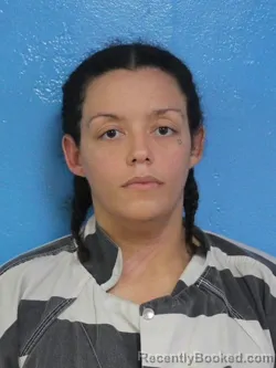 Mugshot of DENISE NICOLE BEWLEY booked in Sullivan County, Tennessee on July 9, 2026