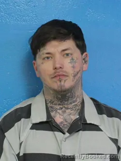 Mugshot of RYAN AUSTIN HONAKER