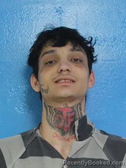 Mugshot of CHRISTOPHER JOHNATAN GHIBEA