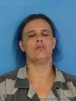 Mugshot of MISTY LEE HAGA booked in Sullivan County, Tennessee on June 29, 2026