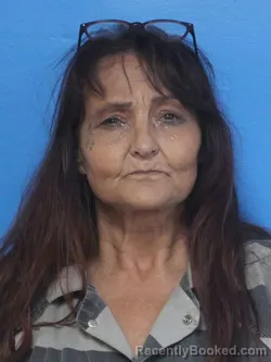 Mugshot of LINDA LEE LINDSAY