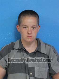 Mugshot of JENNIFER MICHELLE ARNOLD booked in Sullivan County, Tennessee on April 27, 2026