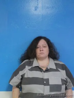 Mugshot of AMANDA LADAWN EVANS