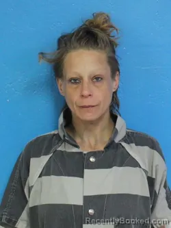 Mugshot of ASHLEY BROOKE STANSBERRY