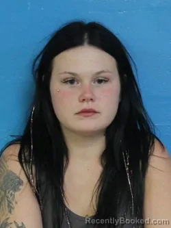Mugshot of HAILI RAE MADDOX booked in Sullivan County, Tennessee on June 20, 2026