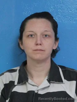 Mugshot of STEPHANIE AMBER MOFFITT booked in Sullivan County, Tennessee on May 15, 2026