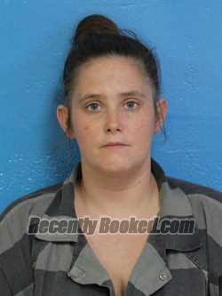 Booking photo from Sullivan County, Tennessee