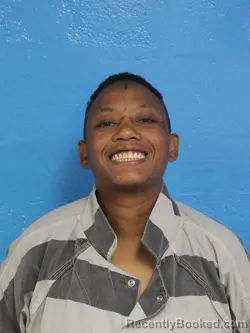 Booking photo from Sullivan County, Tennessee