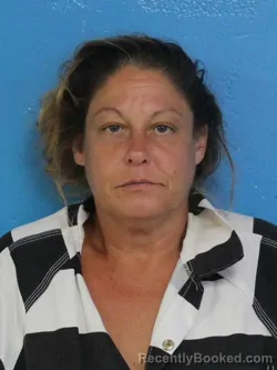 Mugshot of MEGAN LOISANNE SENTER booked in Sullivan County, Tennessee on July 6, 2026