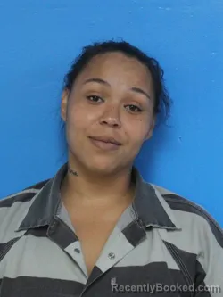 Mugshot of TREANNIE LATRICE HARRIS booked in Sullivan County, Tennessee on June 19, 2026