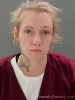 Mugshot of Haley Nicole Hedrick booked in Sullivan County, Tennessee on October 23, 2026