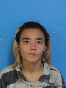 Mugshot of LUCINDA HOPE RODRIGUEZ booked in Sullivan County, Tennessee on July 12, 2026