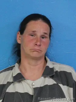 Mugshot of AMY BETH SAMPLES booked in Sullivan County, Tennessee on July 1, 2026