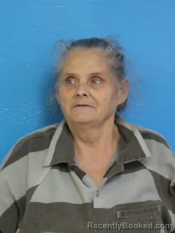 Mugshot of DELORES DIANE MCCLELLAN