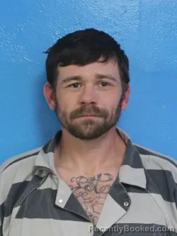 Mugshot of BRANDON GLEN CLAYTON