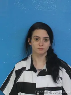 Mugshot of LILLIAN RENEE MADDOX booked in Sullivan County, Tennessee on April 28, 2026