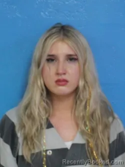 Mugshot of JESSI NICOLE MCBRYANT booked in Sullivan County, Tennessee on April 4, 2026