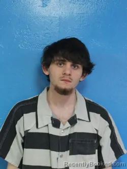 Mugshot of ANDREW JACOB ROYSTON