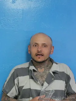 Mugshot of BRETT MICHAEL THIBODEAU