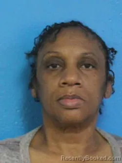 Mugshot of ZINA BETH MITCHELL booked in Sullivan County, Tennessee on March 26, 2026