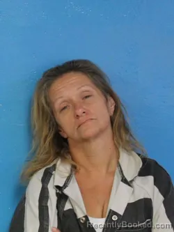 Mugshot of TONYA LOU GAY booked in Sullivan County, Tennessee on June 25, 2026