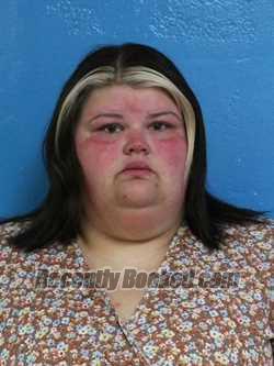 Booking photo from Sullivan County, Tennessee