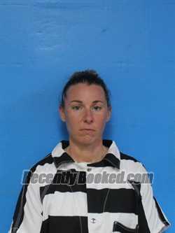 Booking photo from Sullivan County, Tennessee