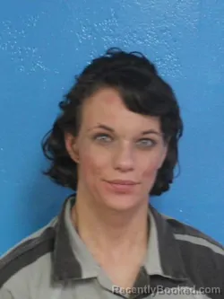 Mugshot of EMILY DAWN CROSS booked in Sullivan County, Tennessee on April 26, 2026