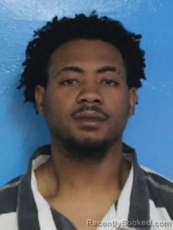 Booking photo from Sullivan County, Tennessee