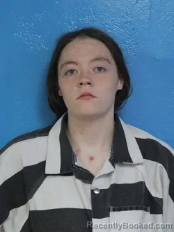 Mugshot of AALAYAH ALEXIS STUMP booked in Sullivan County, Tennessee on July 30, 2026