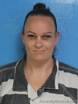 Mugshot of SHANNON LYNN CELLA booked in Sullivan County, Tennessee on June 25, 2026