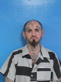 Mugshot of DYLAN ROBERT WILSON