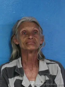 Mugshot of BARBARA JEAN MILLER booked in Sullivan County, Tennessee on April 4, 2026