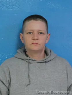 Mugshot of AMANDA ALICE LESTER