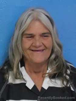 Mugshot of ANITA ANN DUNN booked in Sullivan County, Tennessee on May 22, 2026