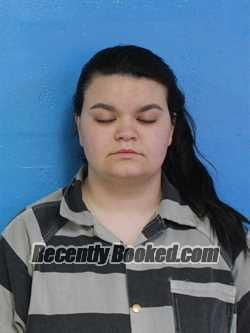 Booking photo from Sullivan County, Tennessee