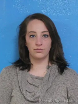 Mugshot of KAILEY ELIZABETH CROSS booked in Sullivan County, Tennessee on March 31, 2026