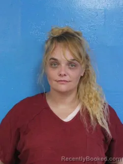 Mugshot of ASHLEY ELIZABETH DOUGLASS