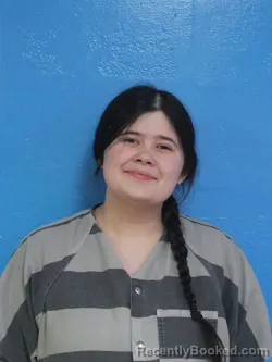 Mugshot of AMANDA BROOKE MITCHELL