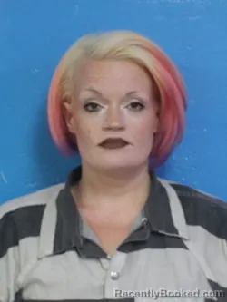 Mugshot of ERICA BRECHELLE CHILDRESS