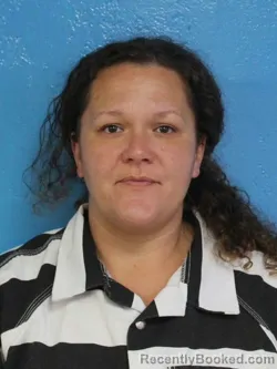Mugshot of ALLISON BRENNA HARRISON booked in Sullivan County, Tennessee on June 30, 2026