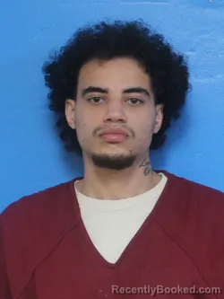 Mugshot of JULIEN CUSSHAWN FITZGERALD booked in Sullivan County, Tennessee on March 31, 2026